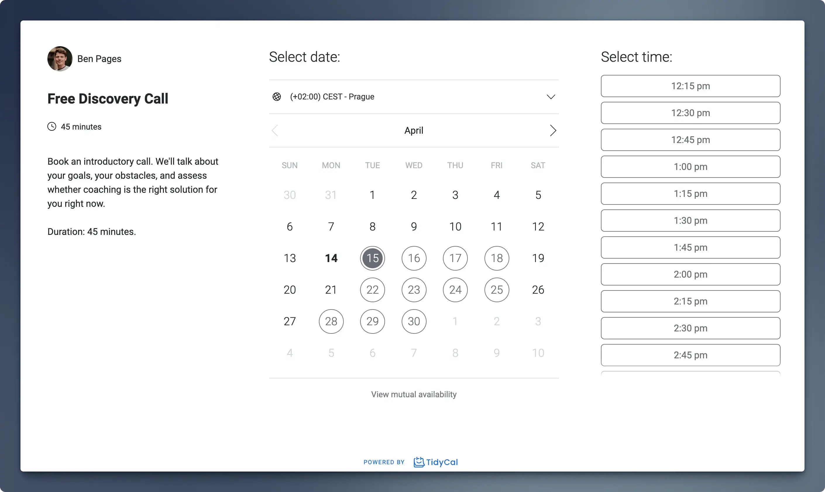 Screenshot of Tidycal for scheduling coaching appointments
